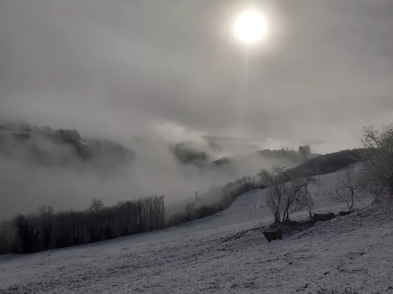 Paisaje nevado y nublado al atardecer